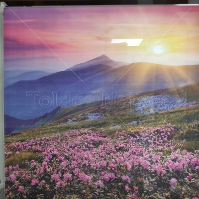 Estores a medida: funcionalidad y diseño para tu hogar o negocio 1 Estores. Estor de Toldos Narcea con dibujo de flores. Otro estor con imagen de frutas.
